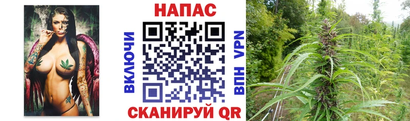 Шишки марихуана сатива  даркнет формула  МЕГА ссылка  Рошаль  цена наркотик 